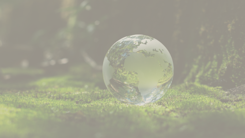 ESG Investing Executive Summary