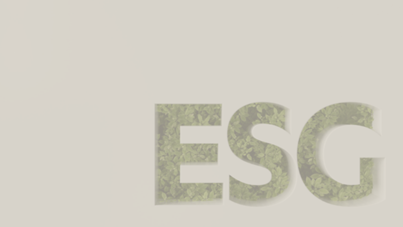 Environmental Social and Governance ESG Guidelines for Portfolio Management