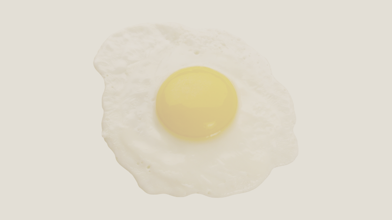 Someone Fried Your Nest Egg Equity Investing for Older Clients