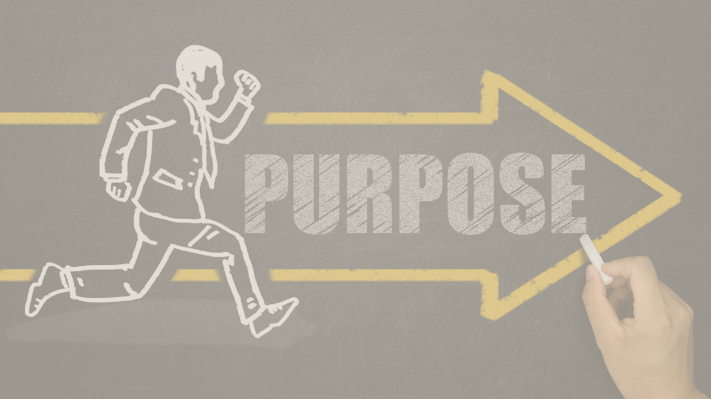 The Six Trillion Dollar Man Speaks Corporations Must Have A Purpose