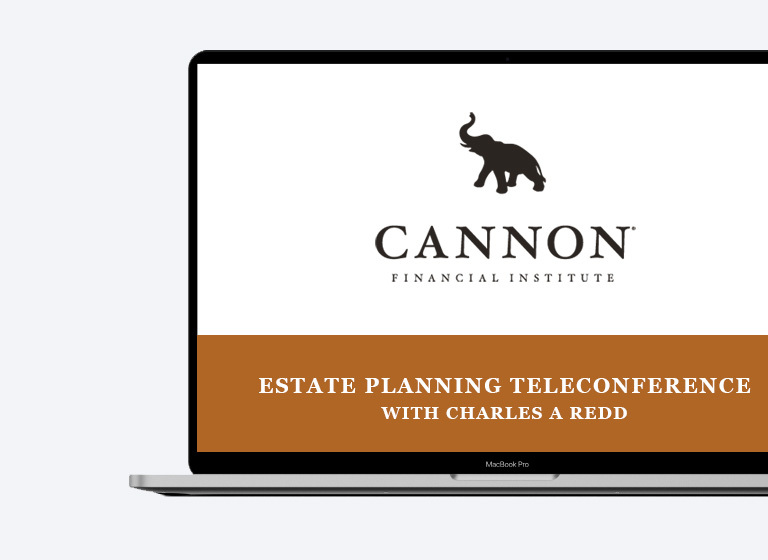 Cannon teleconference computer mockup